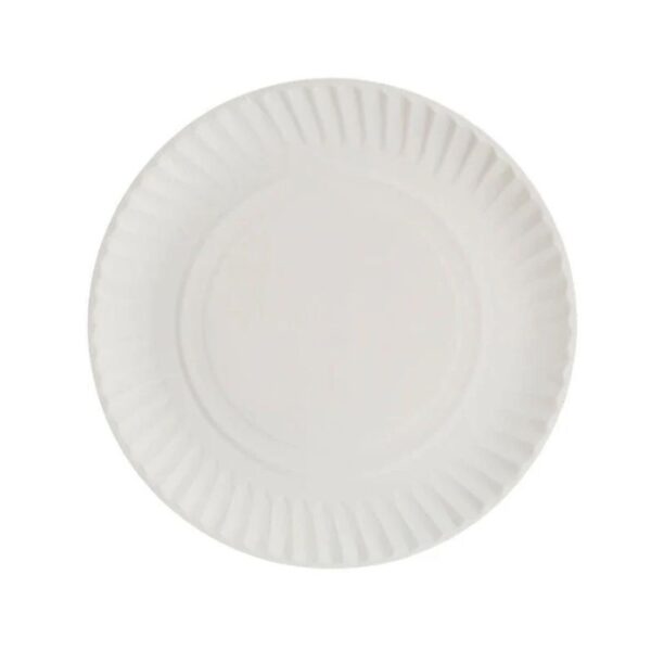 Pizza Plates - Paper