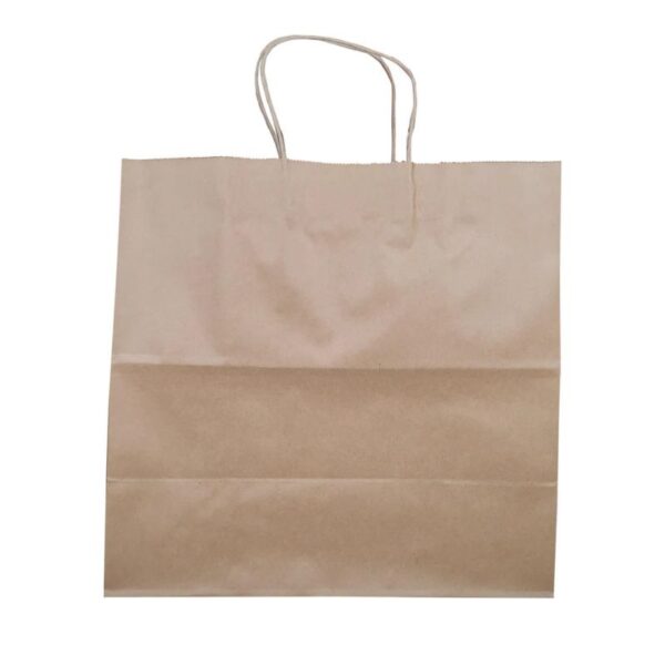 Prime Bags - Delta - Self Adhesive Paper Bags with Twisted Handles - 13x7x13