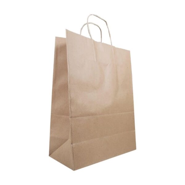Eco-Craze - 10x5x13 Kraft Paper Bag - Twisted Handle - Image 3