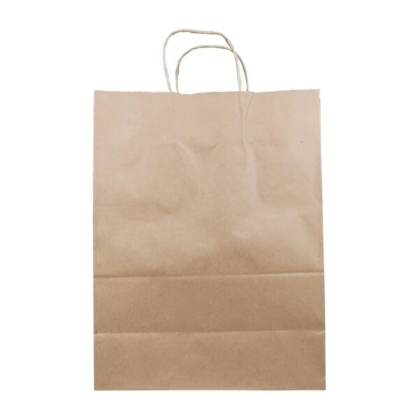 Eco-Craze - 10x5x13 Kraft Paper Bag - Twisted Handle