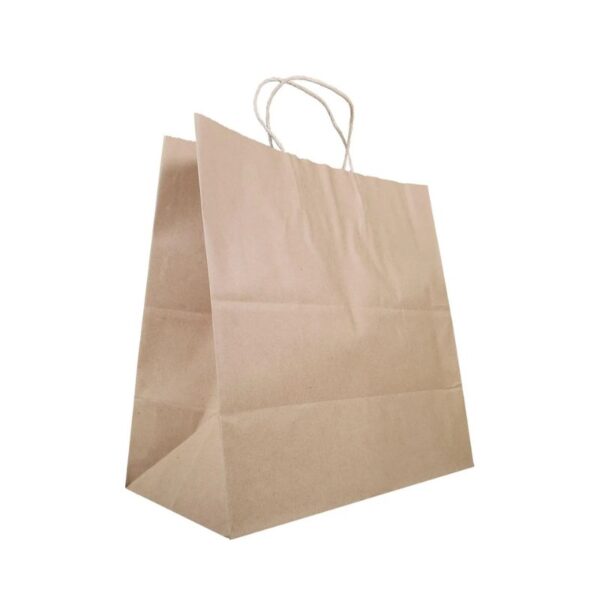 Eco-Craze -13x7x13 Kraft Paper Bag - Twisted Handle - Image 2
