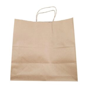 Eco-Craze -13x7x13 Kraft Paper Bag - Twisted Handle