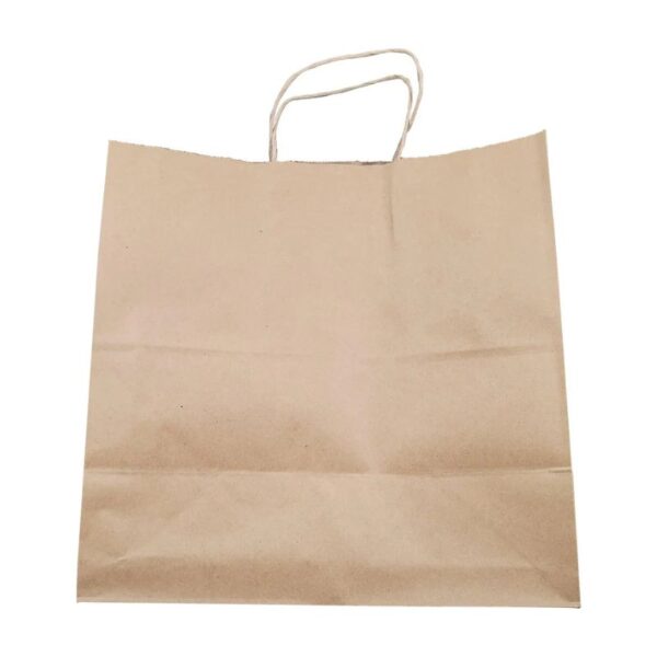 Eco-Craze -13x7x13 Kraft Paper Bag - Twisted Handle