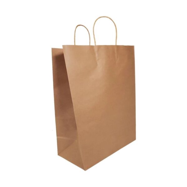 Eco-Craze - 13x7x17 Kraft Paper Bag - Twisted Handle - Image 3
