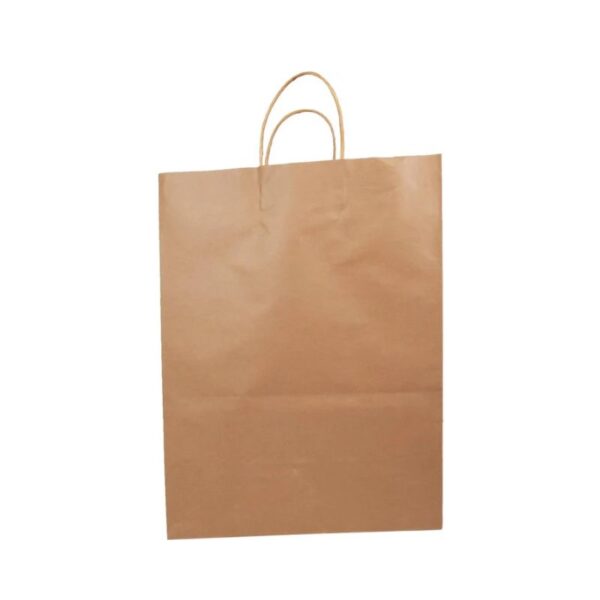 Eco-Craze - 13x7x17 Kraft Paper Bag - Twisted Handle - Image 2