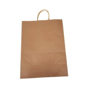 Eco-Craze - 13x7x17 Kraft Paper Bag - Twisted Handle