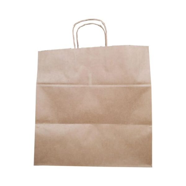 Eco-Craze - 14x10x14" Kraft Paper Bags - Twisted Handle