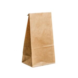 Paper Bags - Brown - #20