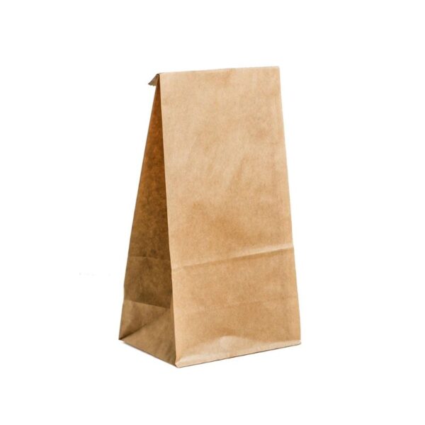 Paper Bags - Brown - #20