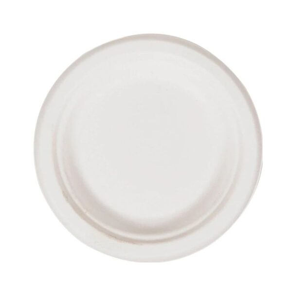Eco-Craze - 6" Round Bagasse Plates